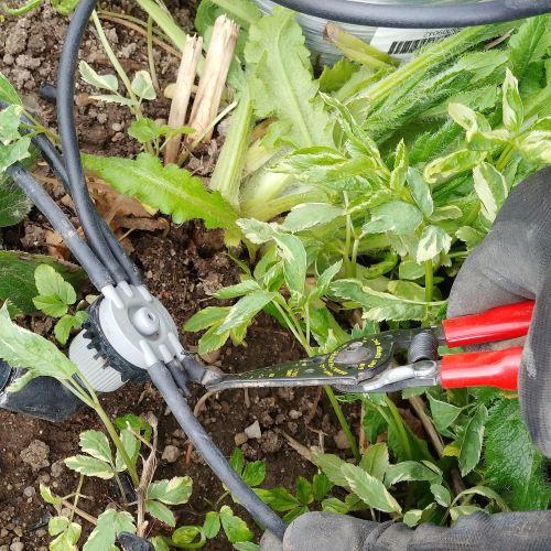Adding new drip lines to a manifold