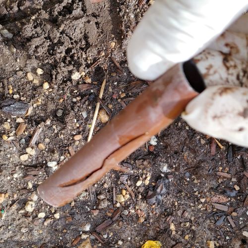 Removed piece of drip line that was leaking