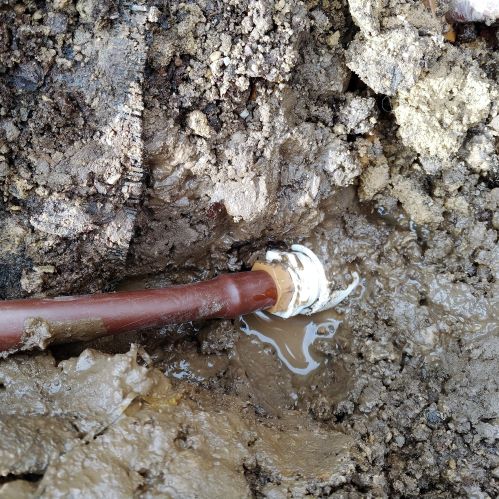 Drip tubing attached with male adapter to PVC pipe