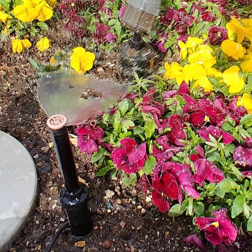 Close-up of micro spray sprinkler head in operation