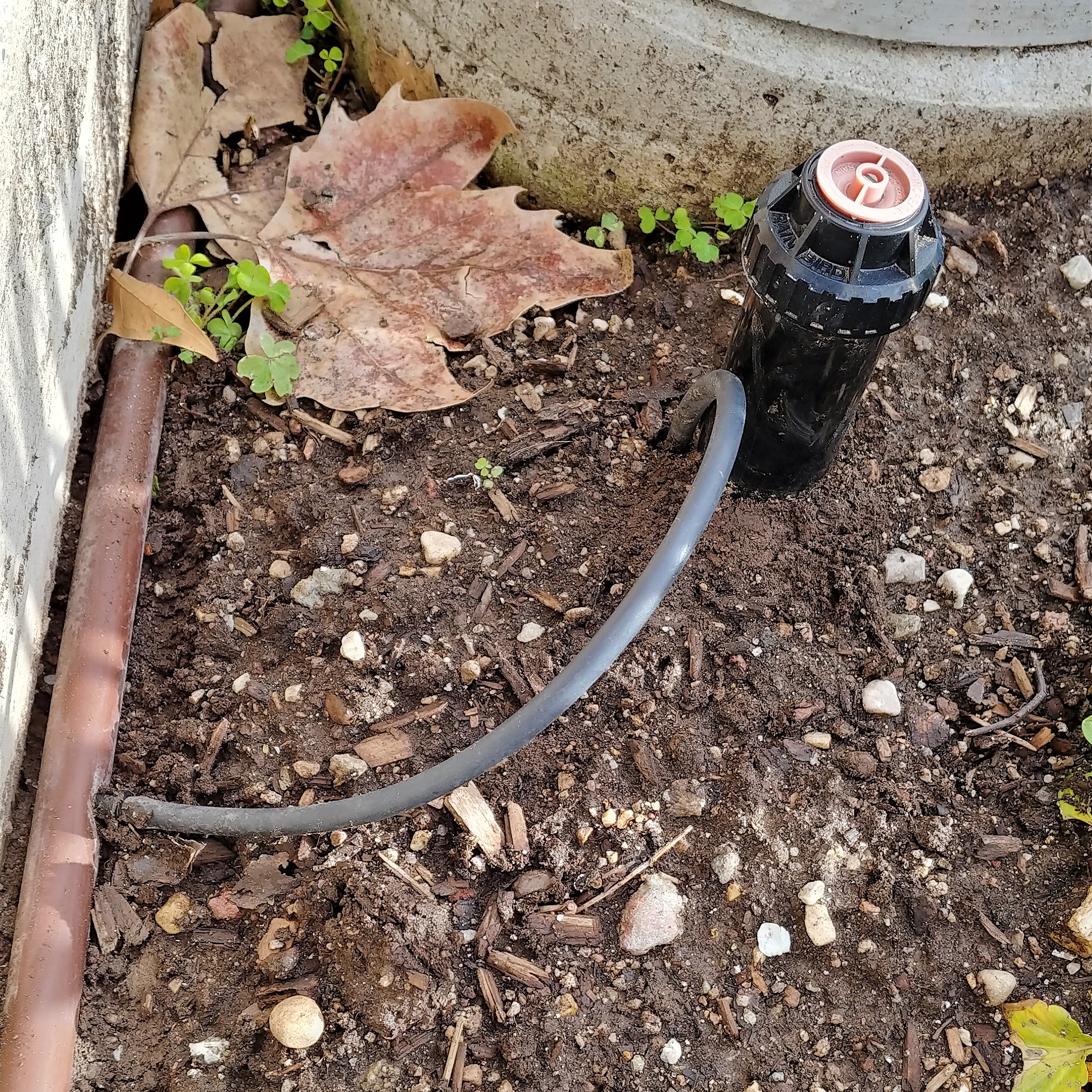 Micro spray sprinkler head