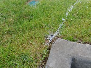 Broken sprinkler pop-up head that is leaking