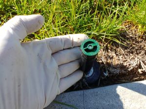 Screwing on the new sprinkler nozzle