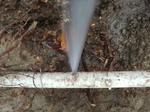 Broken Sprinkler PVC Pipe leaking water