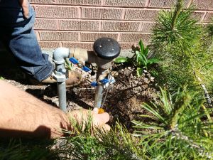 Draining a backflow preventer