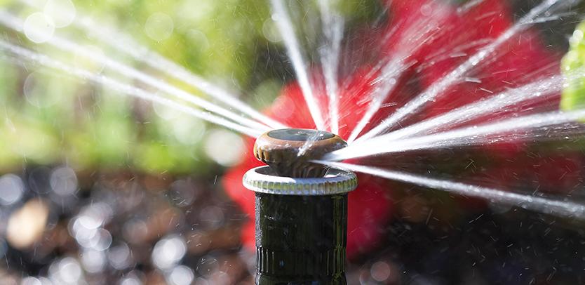 MP Side Strip nozzle installation in a narrow garden area